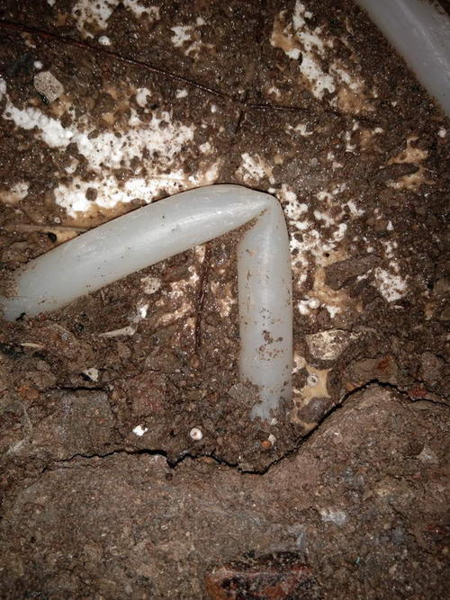 延寿堵点精准查找